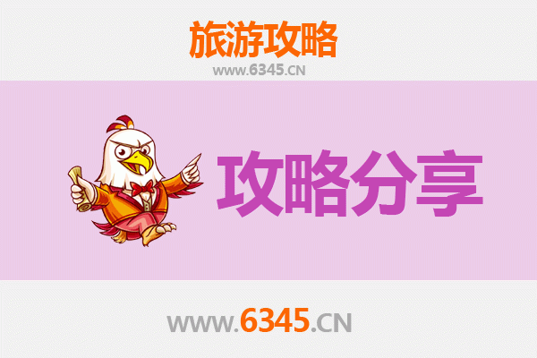 江门江海旅游攻略：跟团与自由行深度对比